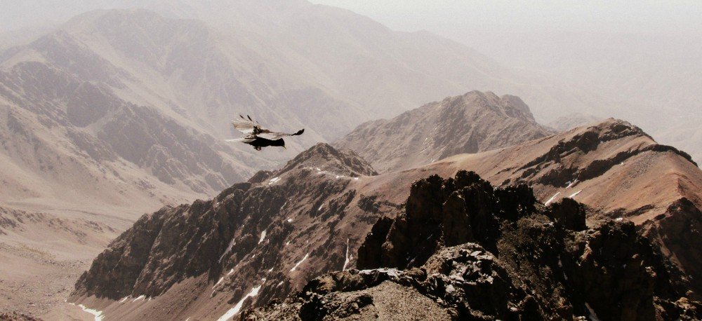 21-toubkal-summit-morocco